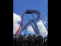 SheiKra Roller Coaster POV - Busch Gardens Tampa Bay (HD)