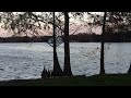 Beautiful lake in Orlando Florida