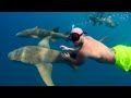 Aquarium 4K VIDEO 🐠 Beautiful Coral Reef Fish - Relaxing Sleep Meditation Music And Deep Sleep #1