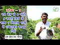 सिर से पांव तक की हर बीमारी का इलाज हैं ये 4 पौधे 😍 आसानी से लगेंगे, Top 4 Medicinal Plant, Herbs