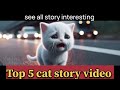 top 5 ai family cat story #cat #kitten #family