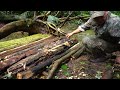 Solo bushcraft: Build shelters in the rainforest. Survive and relax off the grid