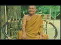 Compilation of Ajahn Chah's Teaching, หลวงปู่ชา (Ajahn Chah, Theravada Buddhism)