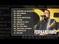 FERNANDINHO - AS 10 MELHORES FERNANDINHO / @FelipoCarvalhoOficial