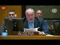 Algeria Calls for Sanctions Against Israel for Noncompliance with UNSC Res. | DAWN News English