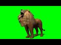 Green screen Lion howl effect