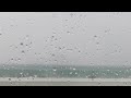 Summer Rain | Peaceful Piano | Relax Music