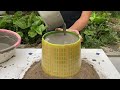 Top 4 Ideas Pots With PLASTIC MOLDS  & CEMENT