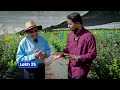 इंडिया में पहली बार अमेरिकन ब्लूबेरी की खेती😳💯Blueberry Farming Profit || Indian Farmer