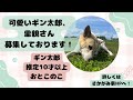 【癒し】ほっこり映像満載！さかがみ家の日常