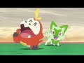 Rising Volt Tacklers NEW MEMBER! Terastal Form Terapagos?! | Pokémon Horizons Episode 30 Review