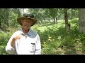 Greg Judy - Green Pastures Farm - Agroforestry Farm Tour Video Series