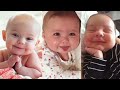 🔥ARE you 🔥looking for cuteness? OMG 😱 found the cutest 🧑‍🍼babies an the planet for you😍