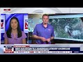 Hurricane Beryl rapidly strengthens into 'major' Category 4 storm | LiveNOW from FOX
