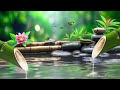 Relaxing Piano Music with Bamboo Water Fountain, Sleep, Meditation Music, Water Sound, Gentle Music