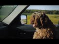 3H Healing Driving Music | Beautiful Playlist Pop Songs 🎹 Drive Music Video 🎼드라이브음악