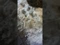 SNOW CRUSHING ASMR