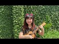 My Friends ~ Red Hot Chili Peppers (Ukulele Cover by Indi Sugar)