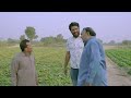 rana ijaz funny video