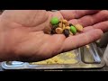 2018 US Meal Cold Weather (MCW) Menu 11 Scrambled Eggs With Bacon