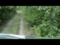 Exploring the woods in Illinois with a  Polaris Ranger