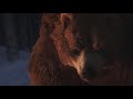 [MAD] Golden Kamuy's Bear Animation (2007)