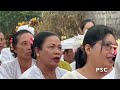 TUMPAH RUAH...Masyarakat untuk NYATUR DESA #balivlog #napakpertiwi #tabuhbebarongan #buruan #gianyar