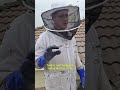 This Beehive Had NO Brood… Was It Abandoned? | #bees #savethebees #shorts