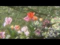 Flowers-Pinkpantheress [Extended]