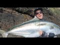 How to catch kingfish off the rocks