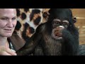 CHIMP DINNER LIVE EASTER EPISODE| Myrtle Beach Safari