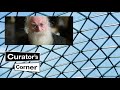 Ancient Demons with Irving Finkel I Curator's Corner S3 Ep7 #CuratorsCorner