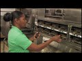 Food Worker Training Video - English