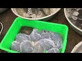 Baby turtles for dinner! 😭 Vietnam Wet Market, Post Covid Shutdown