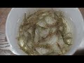 Catching Shrimp - Filmed by GoPro