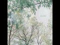 피아노로 듣는 찬양 • 𝐅𝐚𝐢𝐭𝐡 / ccm piano cover playlist