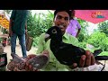 মাত্র ১৮০ টাকায় লোটন কবুতর | kobutor hat 2024 | paruliya kobutor hat | pigeon market in bangladesh