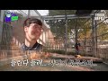 It's a hunting challenge of baby lions VS baby tiger | Animal Detective EP.12