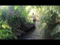 The girl went to find bamboo shoots and pick beards in the countryside life