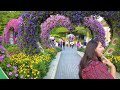 Dubai Miracle Garden 2024 🇦🇪 The Most Beautiful Gardens in the World