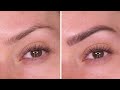 How To Tint Brows At Home Tutorial | Shonagh Scott