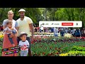 Canberra Biggest Celebration of Spring Floriade #floriade #canberra #flower