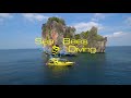 Sea Bees Diving Phuket