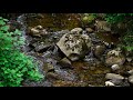 10 Hours of Gentle Running Creek Water Sound for Sleep and Relaxation