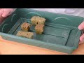 Hydroponic Germination Tutorial 101