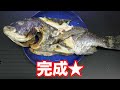 ザリガニを投げると色々な魚が喰いついてくる！