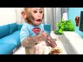 Monkey BonBon  Goes For a Cool Swim and Eats Cool Watermelon Ice Cream - BonBon Farm