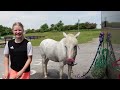 SHOWJUMPING AT SPARSHOLT - CHERRY CHOOSES VIOLENCE! - SHOW VLOG WITH TWO PONIES