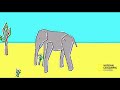 most realistic elephant programmed ever