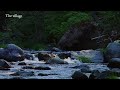 The sound of a river that melts your brain, calm mind